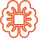 Health Coach